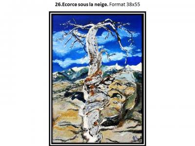 26