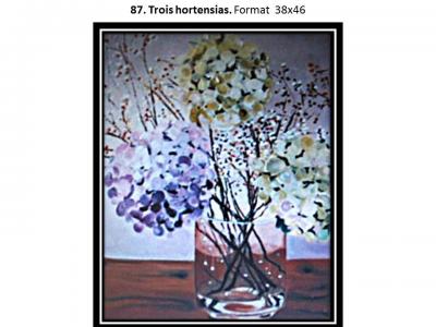 BOUQUETS & NATURES MORTES